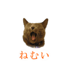 あおい・かわいい（個別スタンプ：8）
