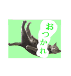 あおい・かわいい（個別スタンプ：9）