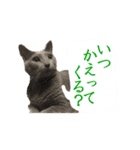 あおい・かわいい（個別スタンプ：11）