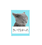 あおい・かわいい（個別スタンプ：12）