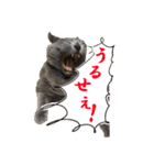 あおい・かわいい（個別スタンプ：18）