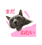 あおい・かわいい（個別スタンプ：21）