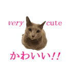 あおい・かわいい（個別スタンプ：25）