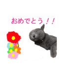 あおい・かわいい（個別スタンプ：27）