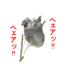 あおい・かわいい（個別スタンプ：31）