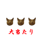 あおい・かわいい（個別スタンプ：37）