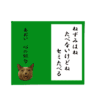 あおい・かわいい（個別スタンプ：40）