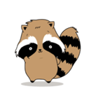Raccoon in the forest（個別スタンプ：8）