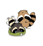 Raccoon in the forest（個別スタンプ：22）