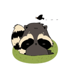 Raccoon in the forest（個別スタンプ：32）