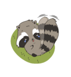 Raccoon in the forest（個別スタンプ：39）