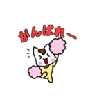 あかちゃんねこのちーよ（個別スタンプ：19）