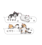 【やすまさ】猫だらけの吹き出し（個別スタンプ：35）