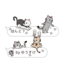 【ゆうすけ】猫だらけの吹き出し（個別スタンプ：27）