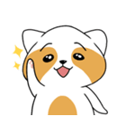 raccoon mon（個別スタンプ：1）