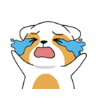 raccoon mon（個別スタンプ：2）