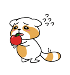 raccoon mon（個別スタンプ：4）