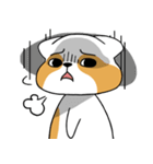 raccoon mon（個別スタンプ：8）