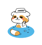 raccoon mon（個別スタンプ：9）