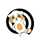 raccoon mon（個別スタンプ：11）