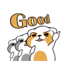 raccoon mon（個別スタンプ：12）