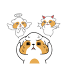 raccoon mon（個別スタンプ：14）