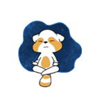 raccoon mon（個別スタンプ：15）