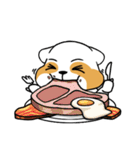 raccoon mon（個別スタンプ：16）