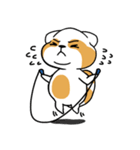 raccoon mon（個別スタンプ：18）
