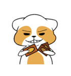 raccoon mon（個別スタンプ：19）