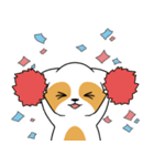 raccoon mon（個別スタンプ：20）