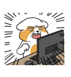 raccoon mon（個別スタンプ：21）