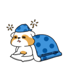 raccoon mon（個別スタンプ：22）
