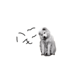 けれど空は犬（個別スタンプ：1）