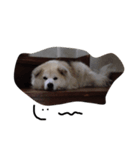 けれど空は犬（個別スタンプ：3）
