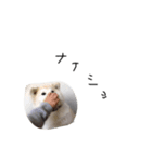 けれど空は犬（個別スタンプ：5）