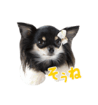 ちぃこスタンプ（個別スタンプ：4）
