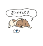 こうちゃんとなかまたち(基本）（個別スタンプ：13）