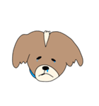 こうちゃんとなかまたち(基本）（個別スタンプ：16）