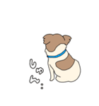 こうちゃんとなかまたち(基本）（個別スタンプ：18）
