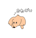 こうちゃんとなかまたち(基本）（個別スタンプ：30）