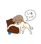 こうちゃんとなかまたち(基本）（個別スタンプ：34）