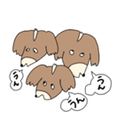 こうちゃんとなかまたち(基本）（個別スタンプ：36）