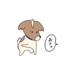 こうちゃんとなかまたち(基本）（個別スタンプ：38）