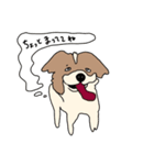 こうちゃんとなかまたち(基本）（個別スタンプ：40）