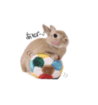 うさぎのエル（個別スタンプ：2）