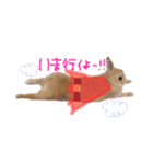うさぎのエル（個別スタンプ：8）