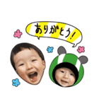 コマコタッペ（個別スタンプ：1）