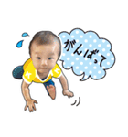 コマコタッペ（個別スタンプ：5）