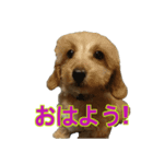 まるっくす（個別スタンプ：1）